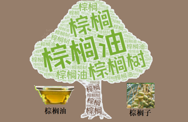 【XM官网】布林带收口预警!棕榈油即将选择终极方向?